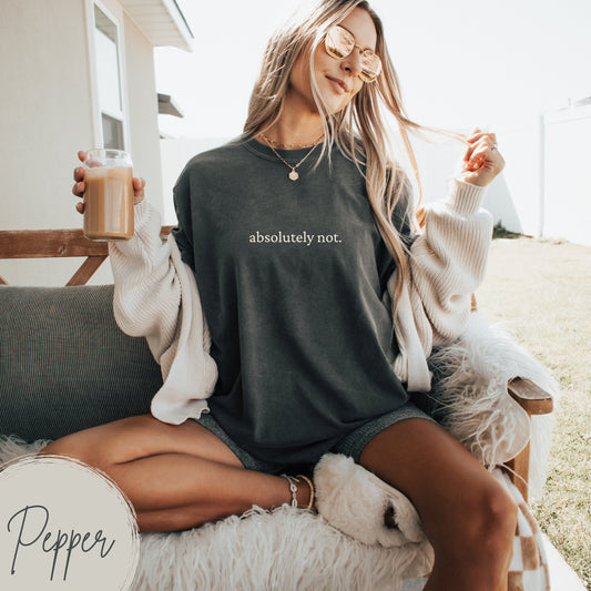 Absolutely Not T-shirt Comfort Colors Boho Minimalist Aesthetic Sarcastic Bookish Vintage Shirt ACOTAR Shirt, Mental Health Tee, Funny Shirt (Copy)